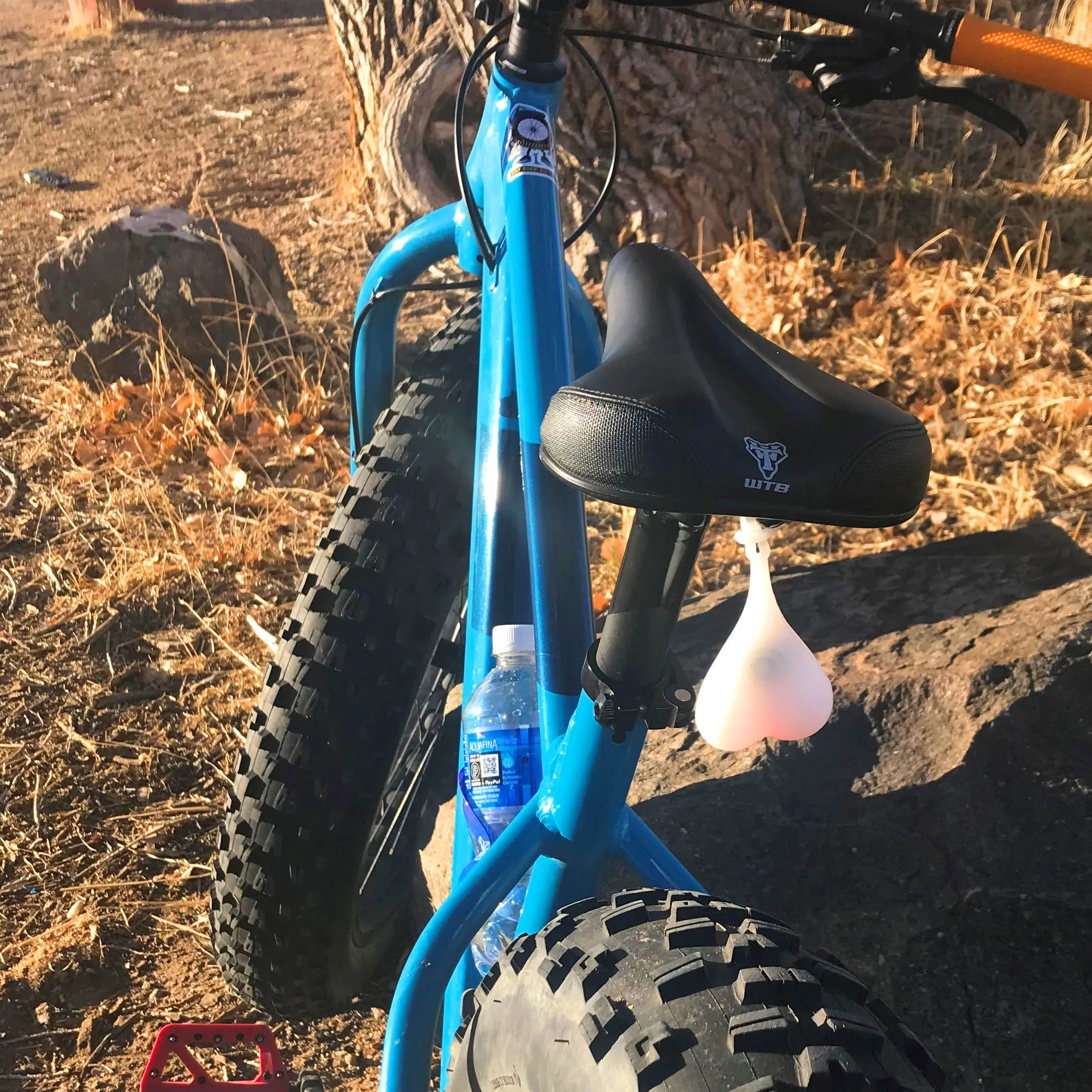 Bike Balls Cycling Red Tailgate Safety Light | Bike Nuts for Fat Bike, Mountain Bike, Road Bike | Fat Bike Asinine