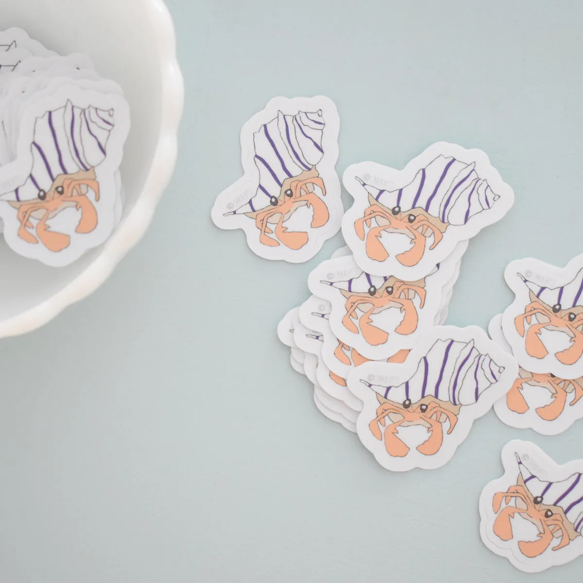 Hermit Crab Sticker
