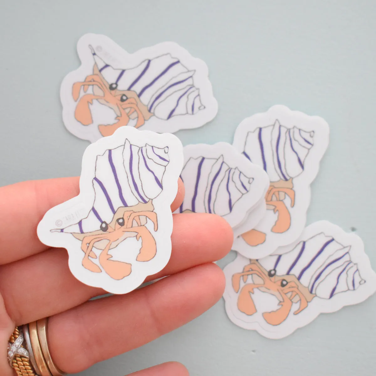 Hermit Crab Sticker