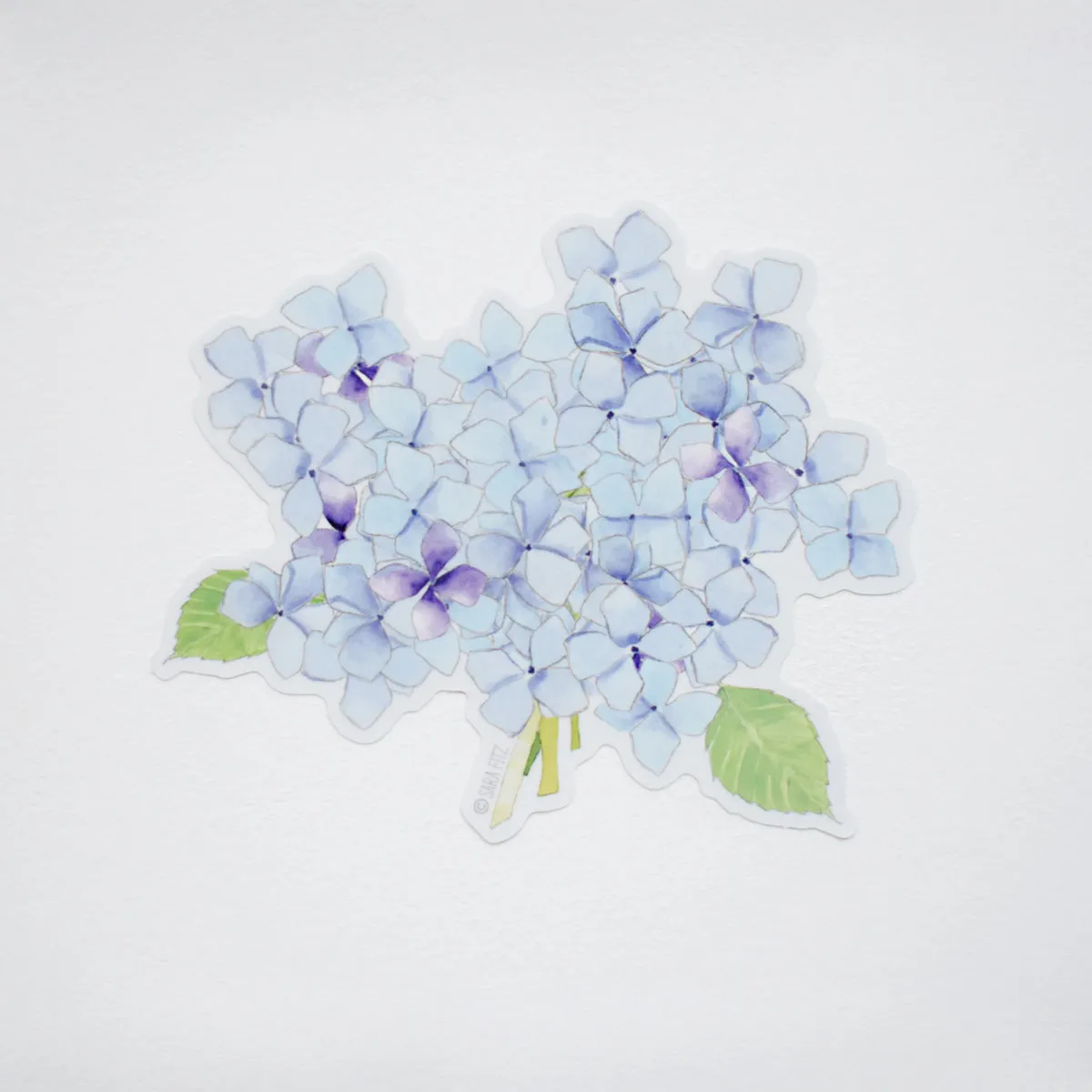 Hydrangea Sticker